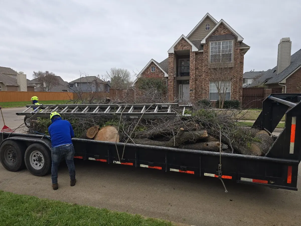 Expert Crown Reduction with proper safety equipment in Liberty Hill